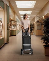 Boodschappentrolley, trolley, winkelwagen met koelvak, groot, 35 liter, inklapbaar, boodschappentas met wieltjes, afneembare tas, zwart