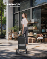 Boodschappentrolley, trolley, winkelwagen met koelvak, groot, 35 liter, inklapbaar, boodschappentas met wieltjes, afneembare tas, zwart