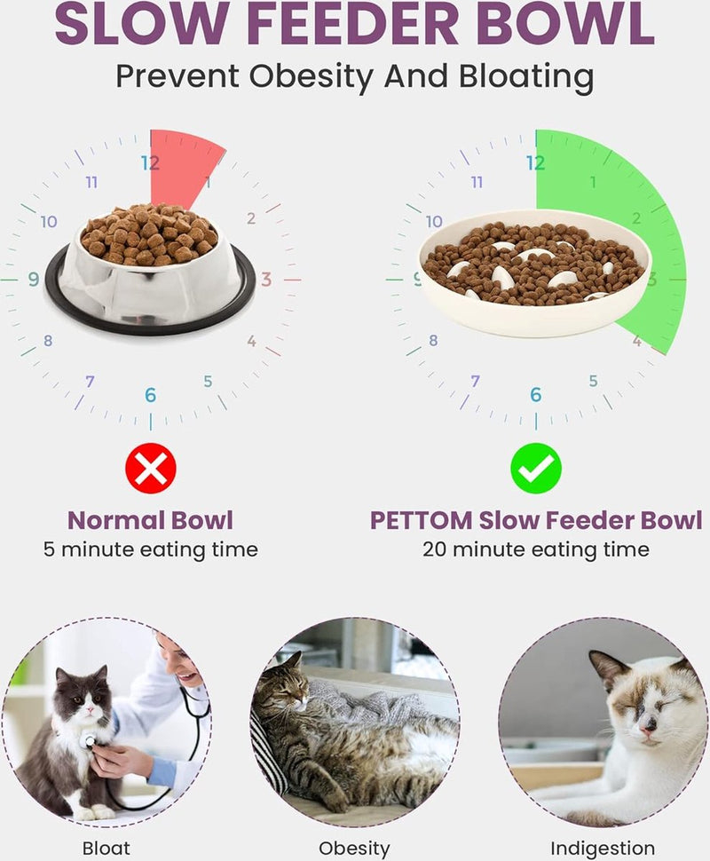 Anti-schrokbak voor katten en kleine honden, antislip, langzaam eten hond met hoge rand tegen uitvallen (16 x 16 cm, wit)